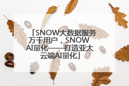 SNOW大数据服务万千用户，SNOW AI量化——打造亚太云端AI量化