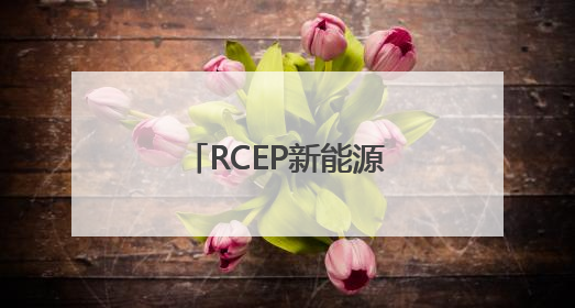 RCEP新能源盛会召开 共同发布《合肥倡议》